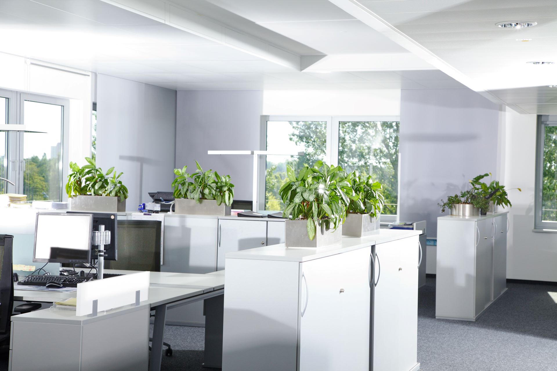 Resume Writing Services Ooralea QLD